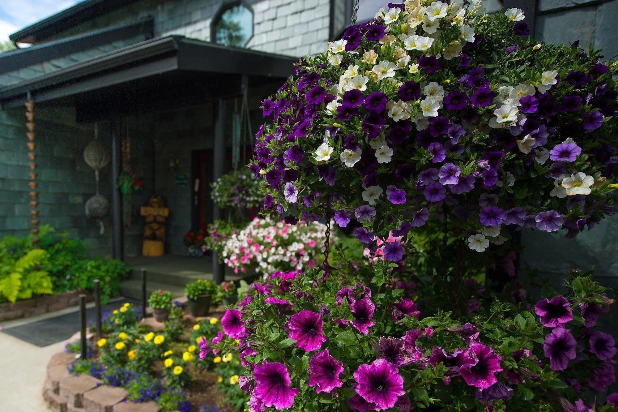 Alaska House Of Jade Bed And Breakfast Anchorage Exterior photo